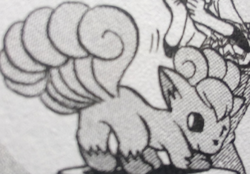 Fichier:Goupix de Courtney-PMS.png