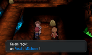 Grotte Étincelante Fossile Mâchoire XY.png