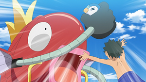 LV031 - Tiplouf d'un Dresseur.png