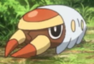 Larvibule sauvage - Film 23.png