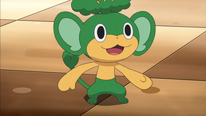 NB053 - Feuillajou de Rachid.png