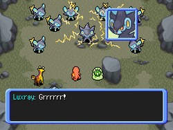 Colère de Luxray.