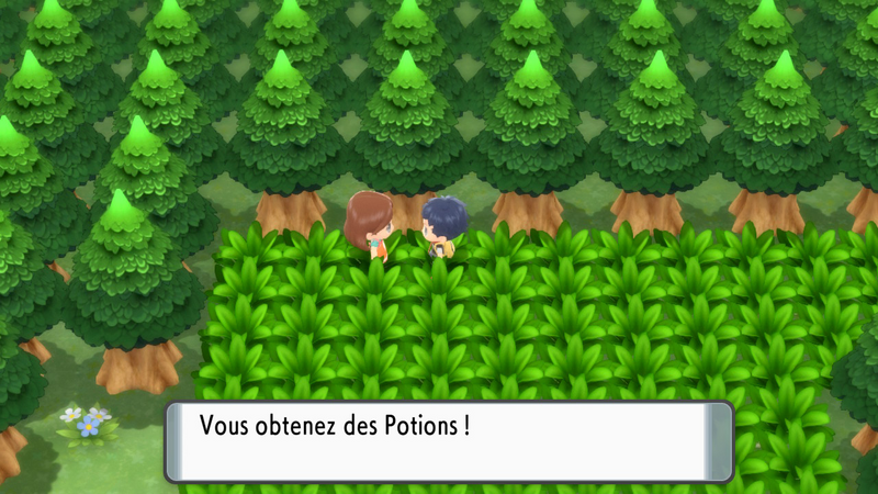 Fichier:Route 201 Potion DEPS.png