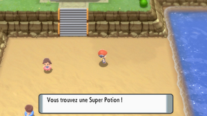 Route 213 Super Potion DEPS.png