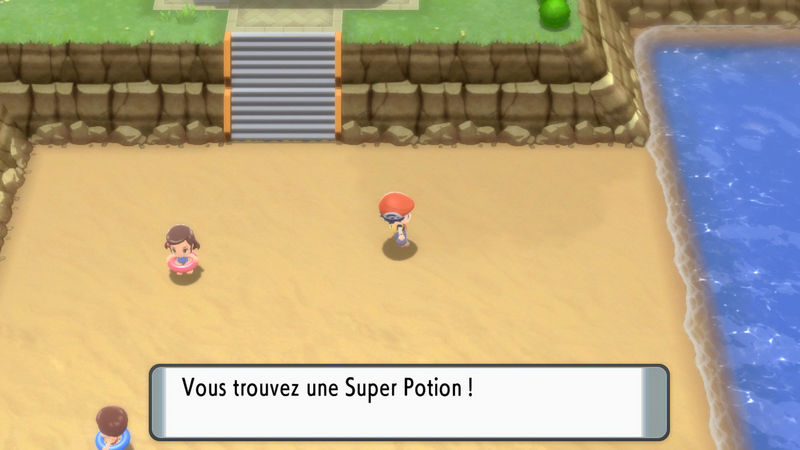 Fichier:Route 213 Super Potion DEPS.png