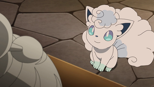 SL127 - Goupix d'Alola de Lilie.png