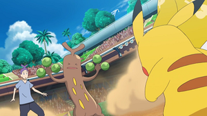 SL129 - Simularbre d'un Dresseur.png