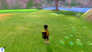 Taupiqueur d'Alola Plaine des Efforts 10 EB.png