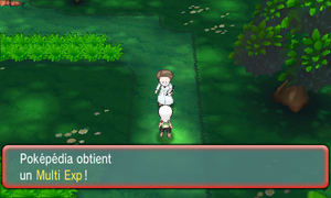 Bois Clémenti Multi Exp ROSA.png