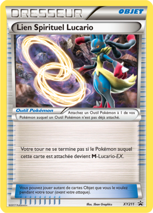 Carte Promo XY XY211.png