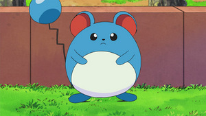 DP137 - Marill de Lulu.png