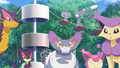 Léopardus, Chacripan, Chaffreux, Psystigri, Chaglam, Skitty et Delcatty (de Dresseurs)