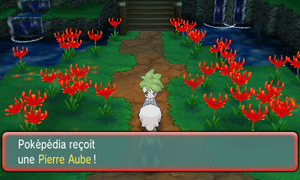 Route Victoire Pierre Aube ROSA.png