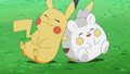 Pikachu (de Sacha) et Togedemaru (de Chrys)