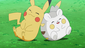 SL041 - Pikachu de Sacha et Togedemaru de Chrys.png