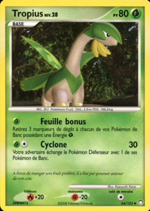 Carte Diamant & Perle Trésors Mystérieux 64.png