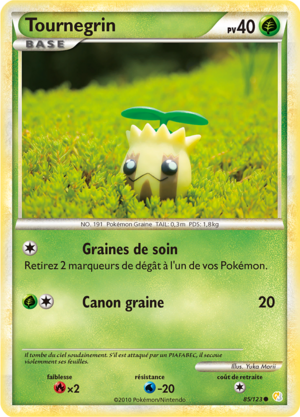 Carte HeartGold & SoulSilver 85.png