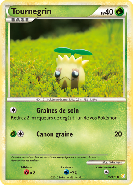 Fichier:Carte HeartGold & SoulSilver 85.png