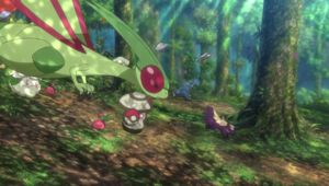 Ceribou sauvages - Film 23.png