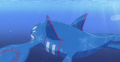 Kyogre (sauvage)