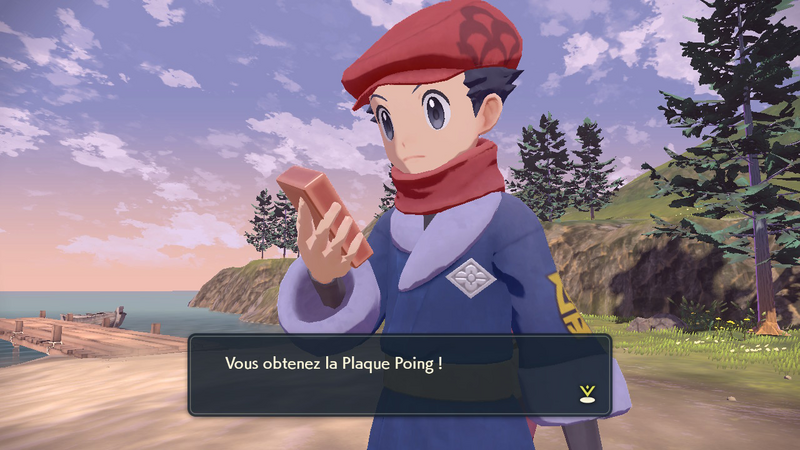 Fichier:Plage Premiépas Plaque Poing LPA.png