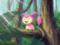 Skitty (de Flora)