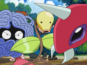 AG156 - Saquedeneu, Chétiflor et Migalos d'un Dresseur.png