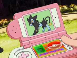 DP059 - Luxray Pokédex.png
