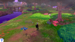 Forêt Flexion Maxi Champi 3 EB.png