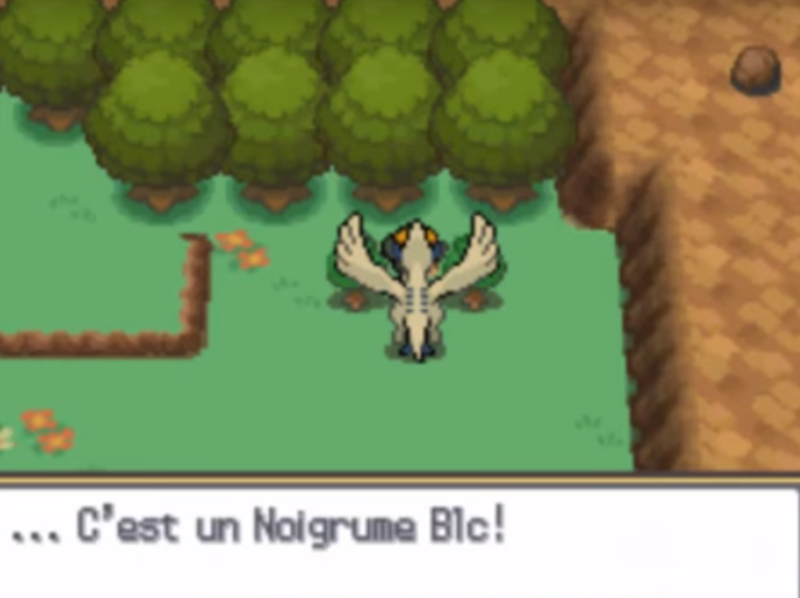 Fichier:Cap ecran noigrume blc argenta hgss.png