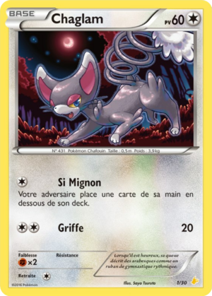 Carte XY Kit du Dresseur Pikachu Catcheur 1.png