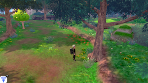 Forêt Flexion Objet Caché 1 EB.png