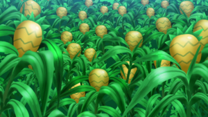 LH106 - Baie Nanana.png