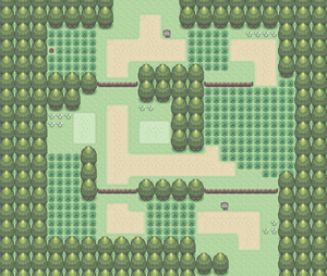 Route 202.png