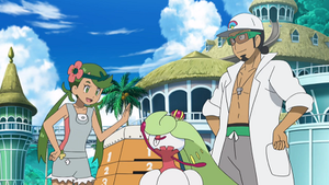 SL085 - Sucreine de Barbara.png