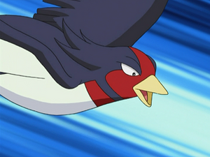 AG168 - Hélédelle de Sacha.png