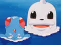 Tentacool et Lamantine (sauvage)