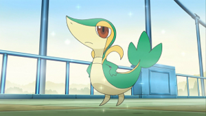 NB021 - Vipélierre de Sacha.png