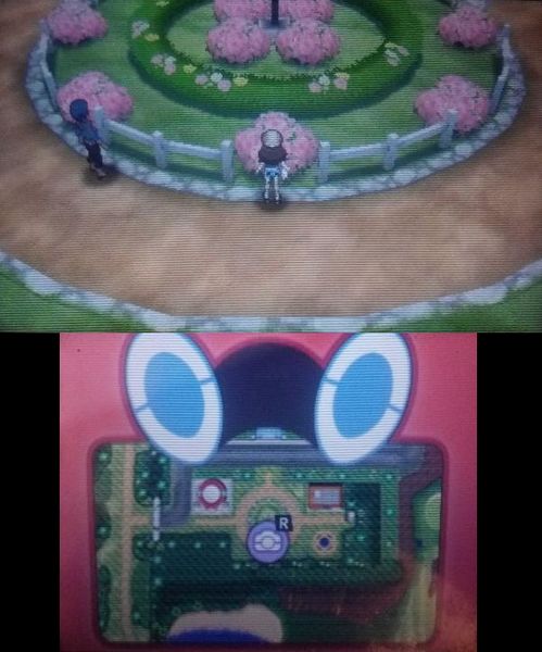 Fichier:Poké Scope Rue Dome Royal.jpg
