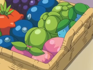 Baie Fraive animé.png