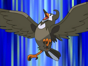 DP031 - Étourvol de Sacha.png