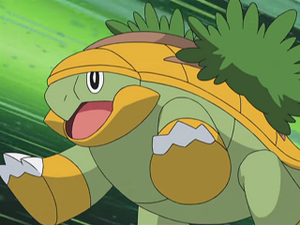 DP166 - Boskara de Sacha.png