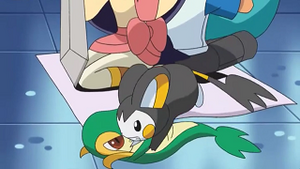 NB038 - Vipélierre de Sacha et Emolga d'Iris.png