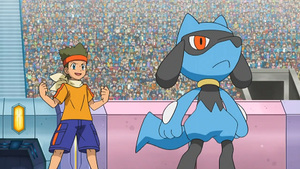 NB108 - Riolu d'Alexis (Flash-back).png
