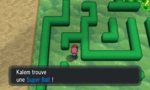 Route 4 Super Ball XY.png