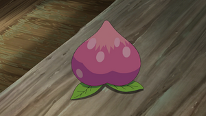 SL121 - Baie Pêcha.png