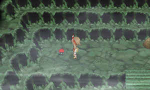 Tunnel Mérazon Poké Ball ROSA.png
