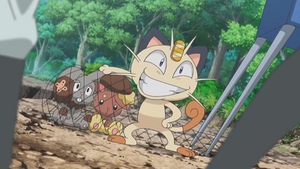 XY114 - Miaouss de la Team Rocket.png