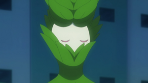 LH110 - Arboliva.png