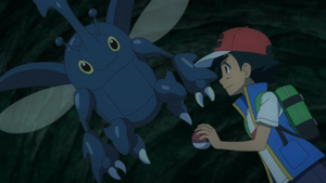 LV143 - Scarhino de Sacha.png